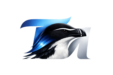 T&M Digital Solutions